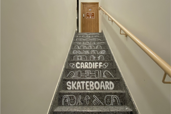 Picture-21 Picture-21