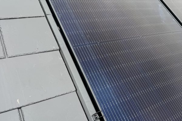 IMG_1440 2 IMG_1440 2