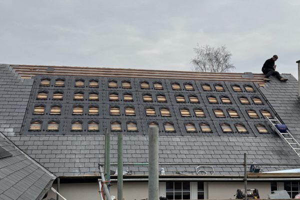 IMG_6027 2 IMG_6027 2